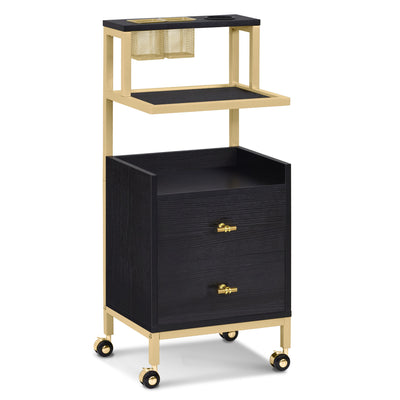 BarberPub Friseurwagen mit Rollen & 2 Schubladen, Rollwagen Servierwagen, Salon Trolley mit 2 Ablagen & Föhnhalter, Moderner Arbeitswagen für Bad Wohnzimmer, 32x37x87cm, 0029